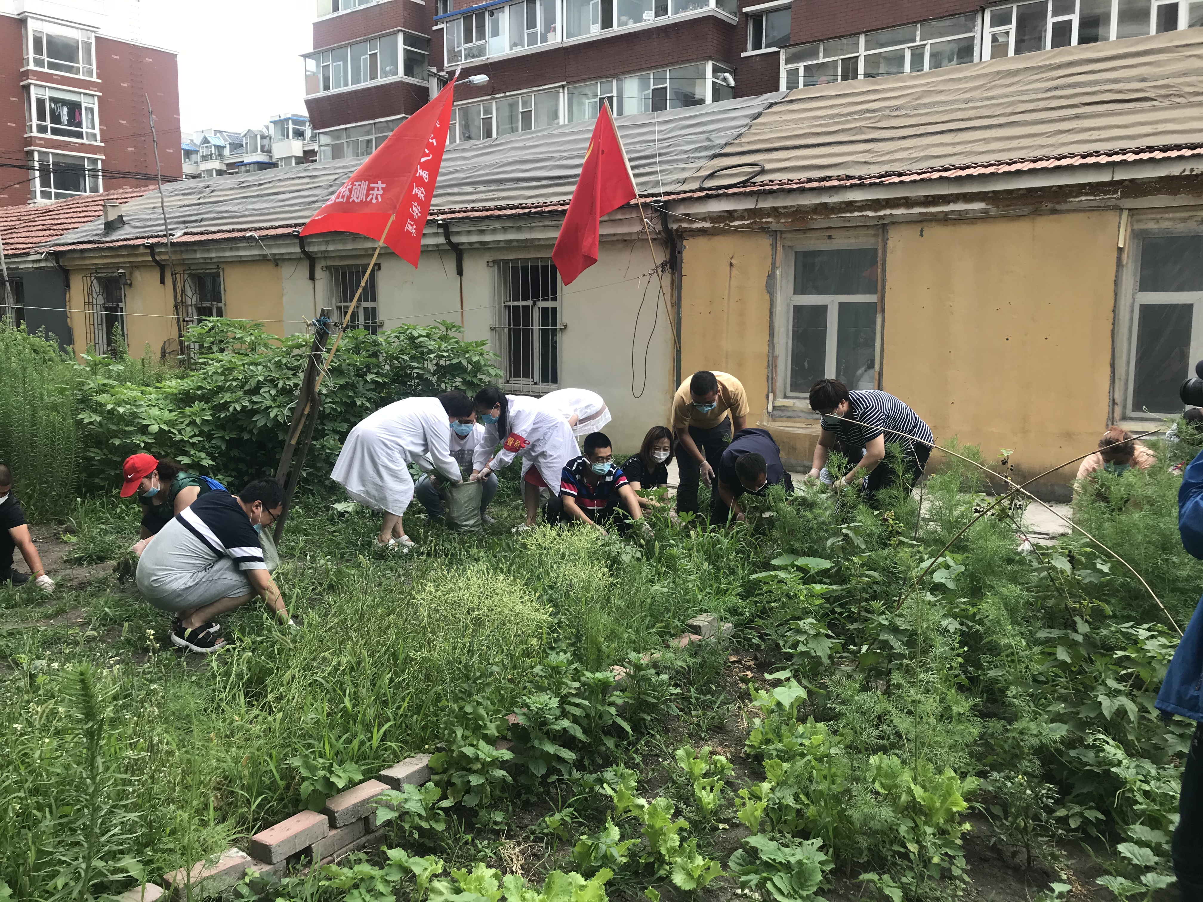 老子有钱lzyq88(中国)有限公司官网