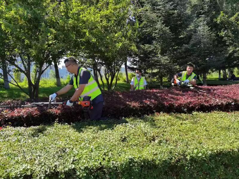 老子有钱lzyq88(中国)有限公司官网