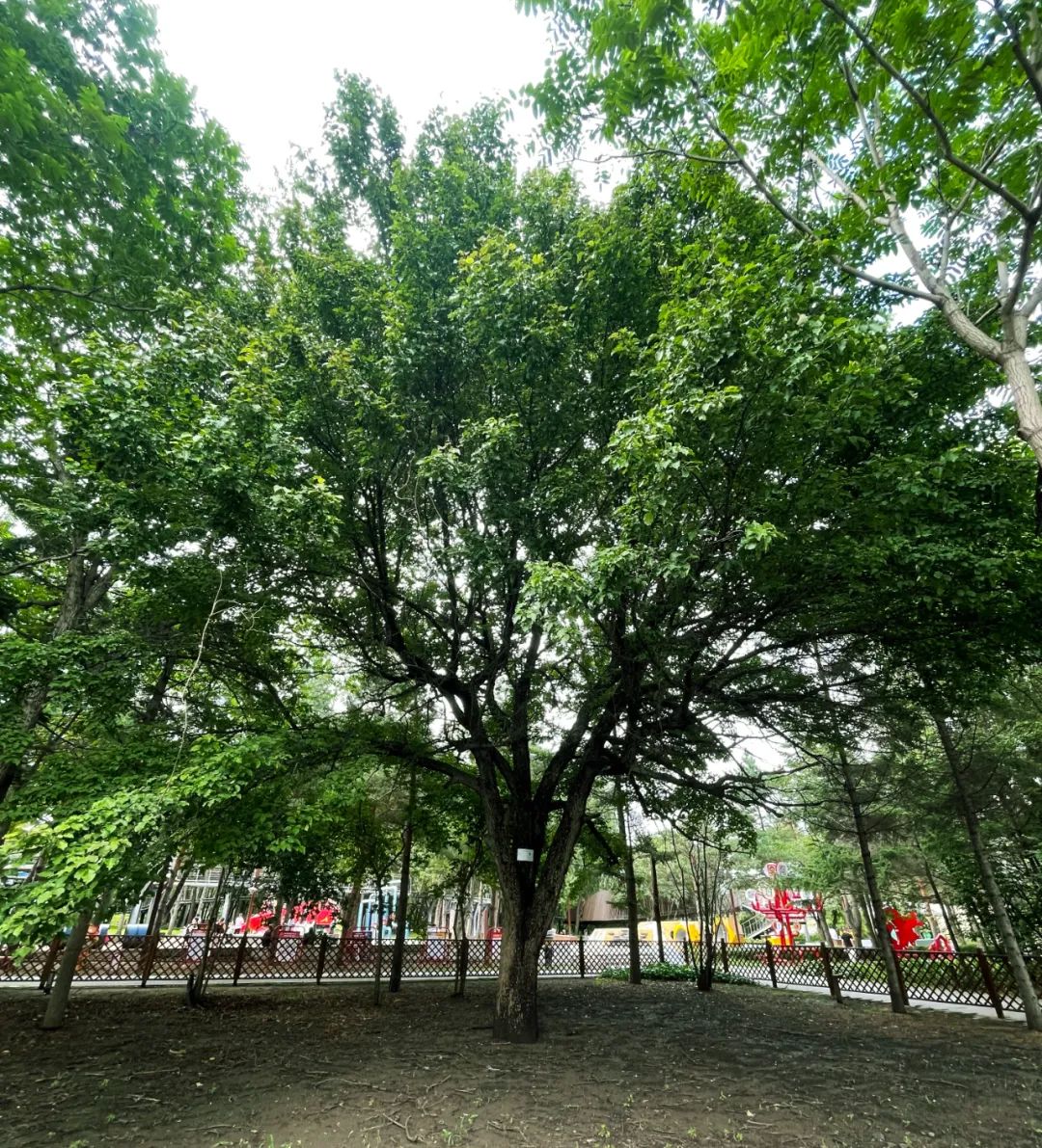 老子有钱lzyq88(中国)有限公司官网