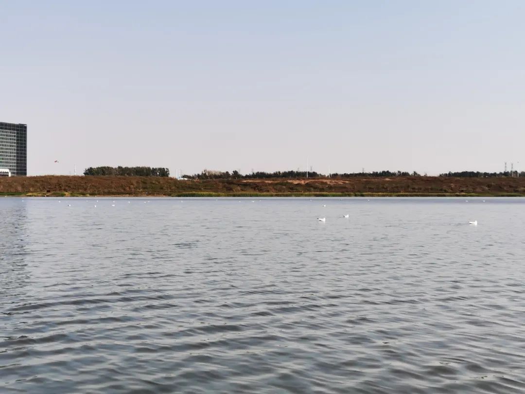 老子有钱lzyq88(中国)有限公司官网